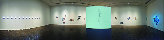 Claudia Bitran Wide Gallery shot